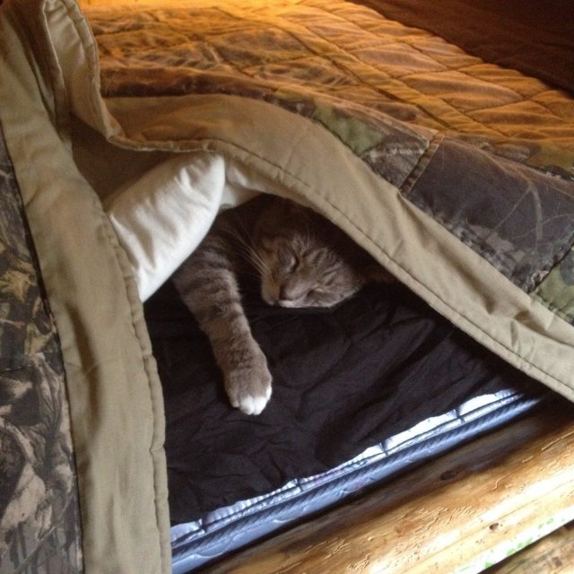 I Get No Privacy Around Here