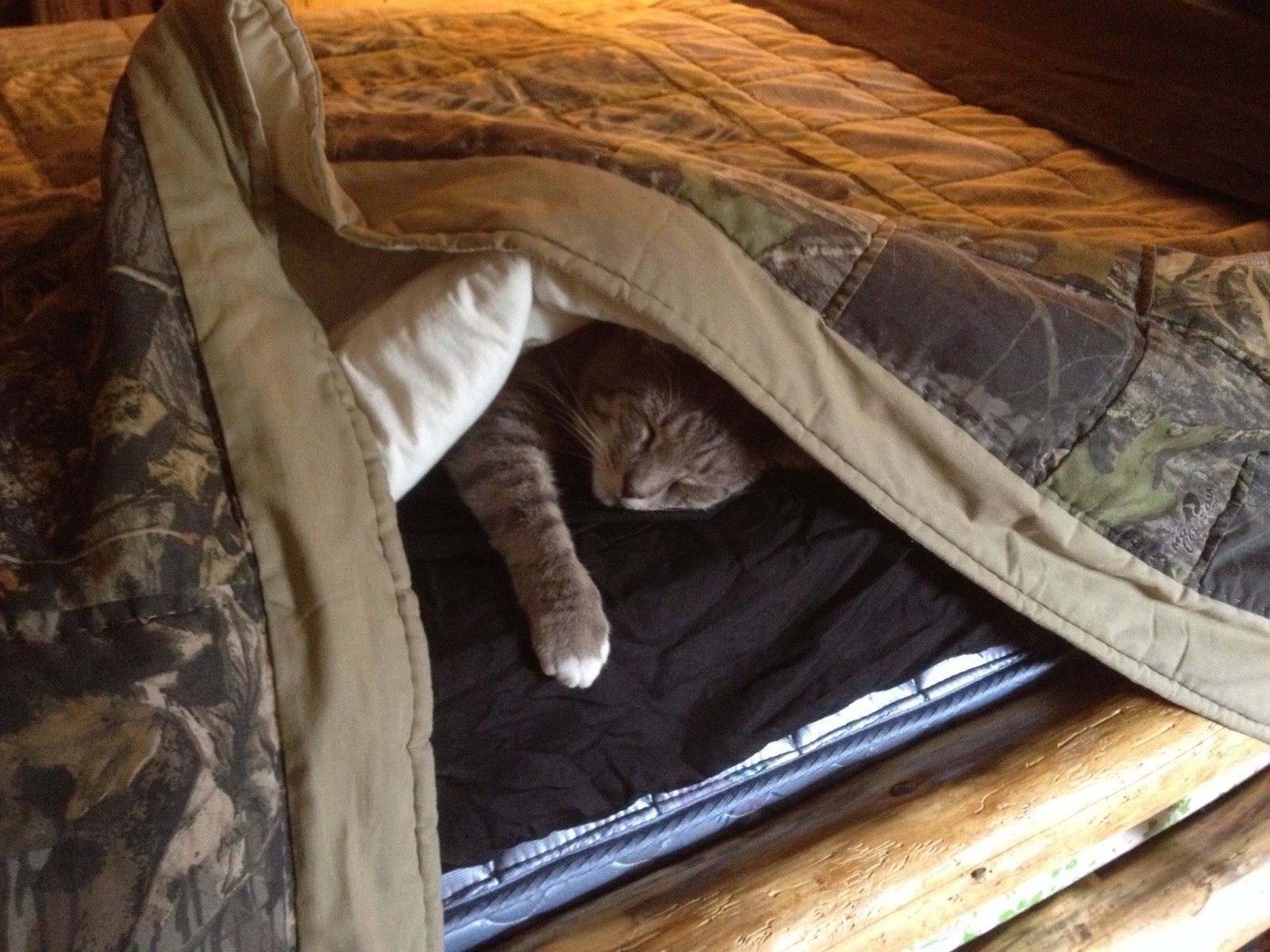 I Get No Privacy Around Here