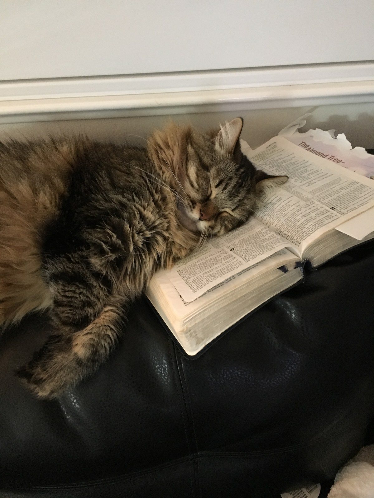 Too Much Studying