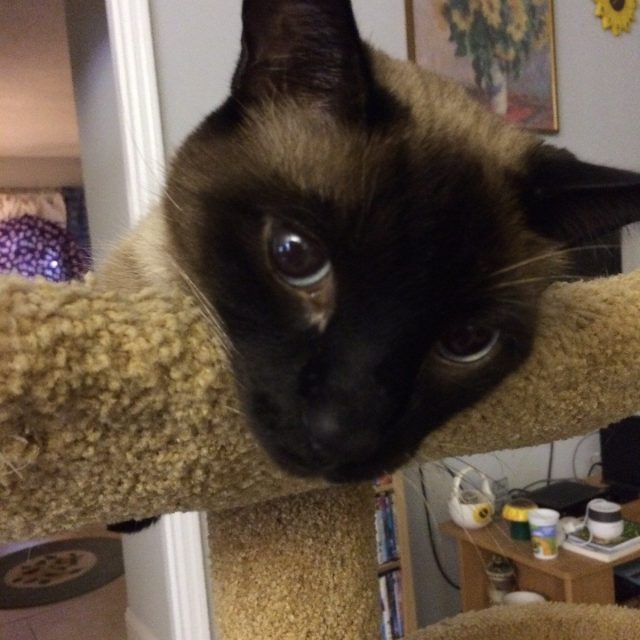 Loves Attention!!!!
