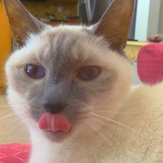 Tucker Yum