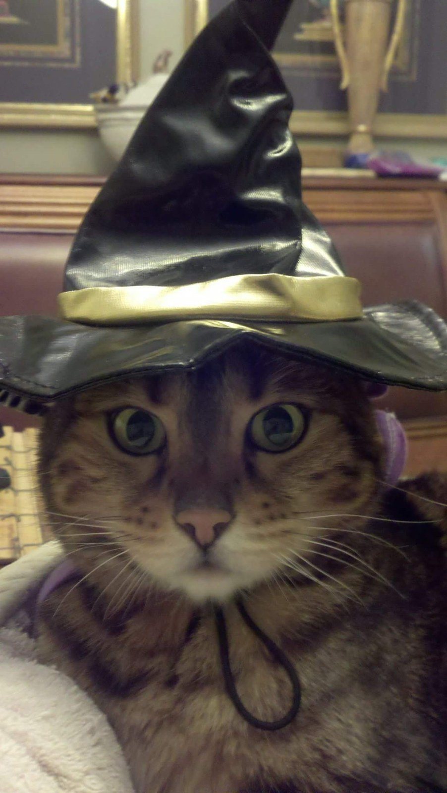 "You Are Now Under My Spell"