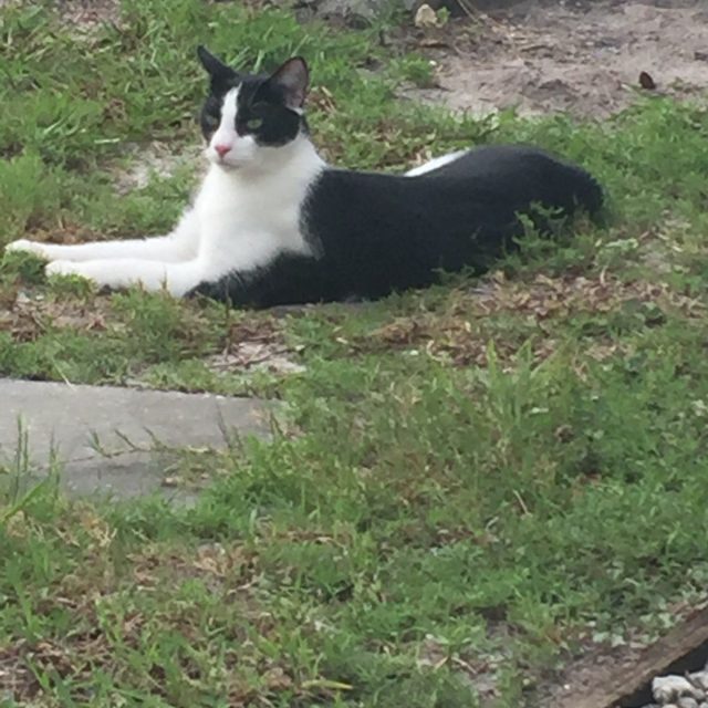 Chillin Outside