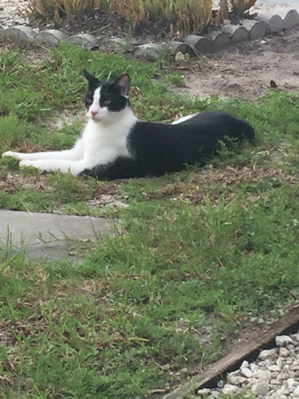 Chillin Outside