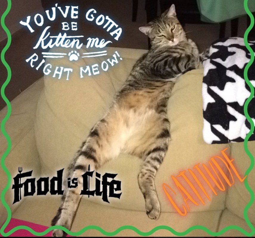 Loungin' - Frankie Four Paws