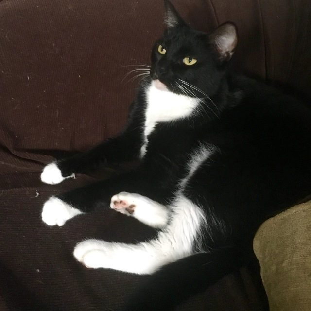 I Was Napping