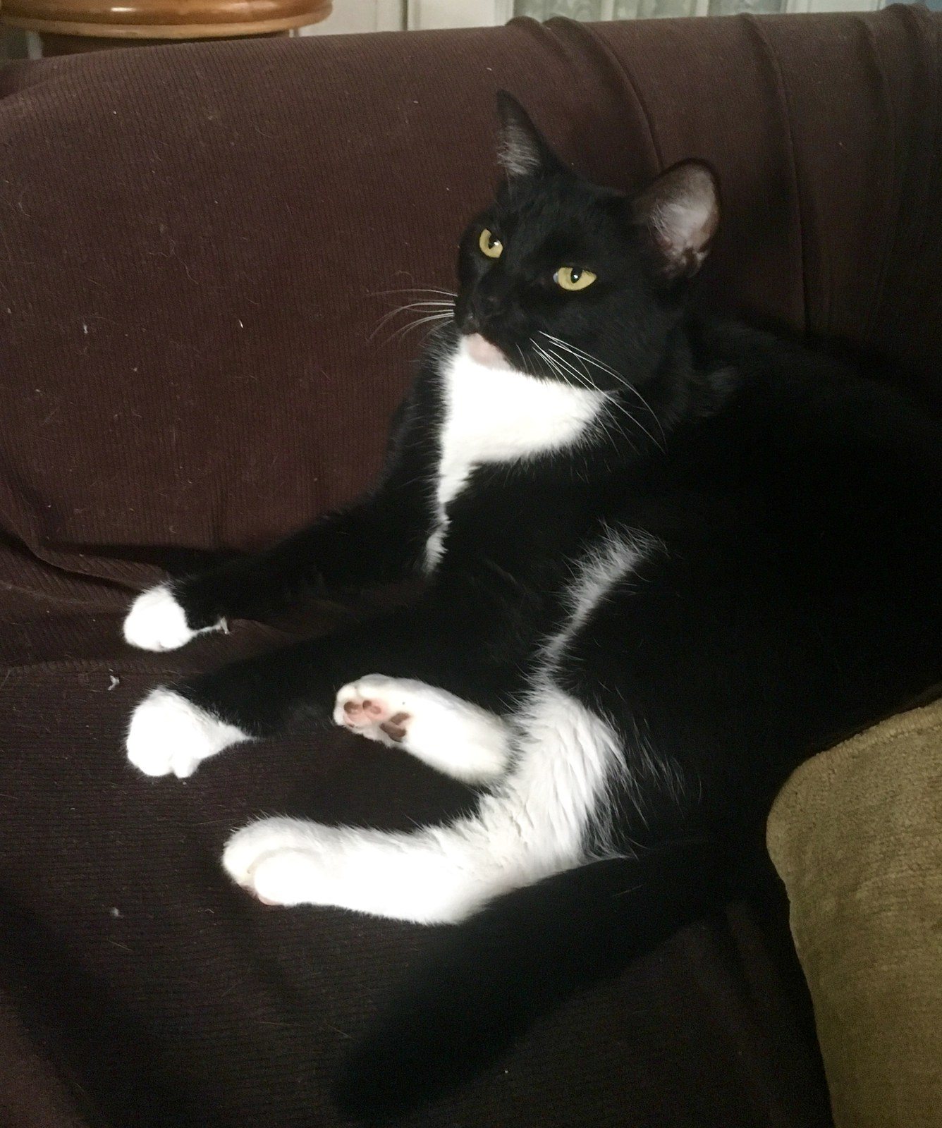 I Was Napping