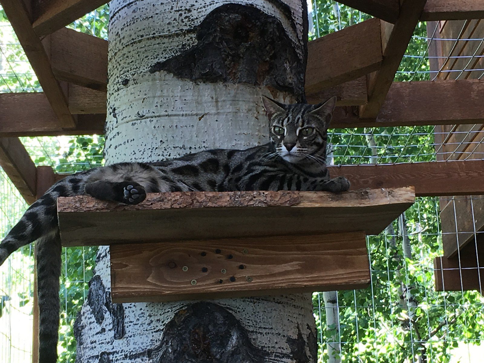 Lounging