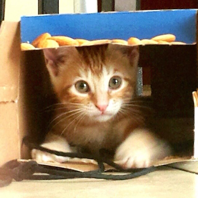 "Where You Looking For Me?"