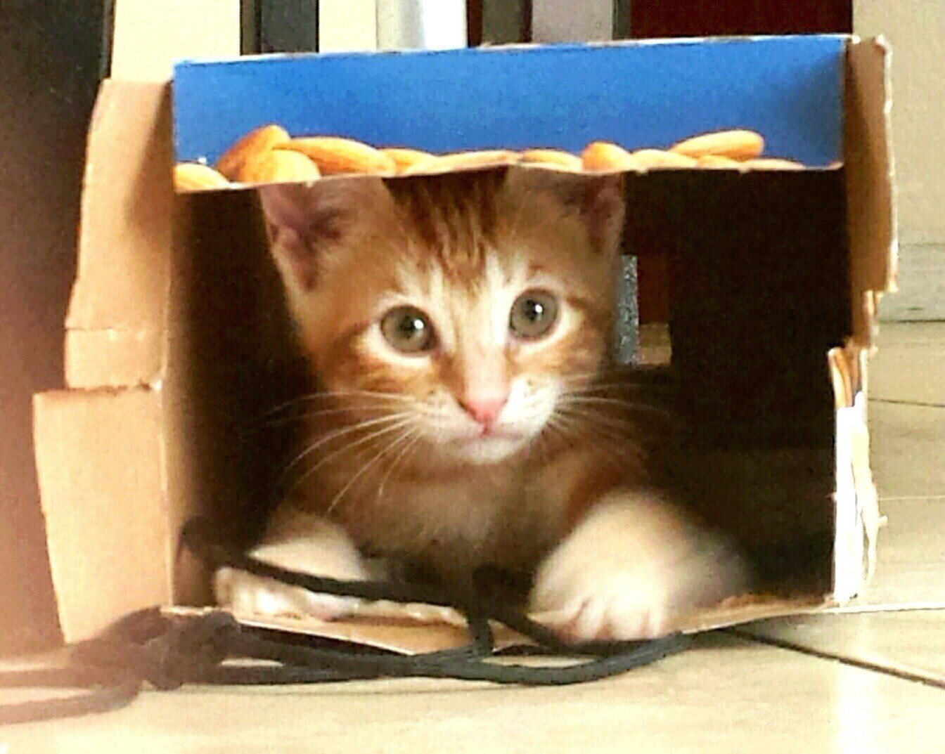 "Where You Looking For Me?"