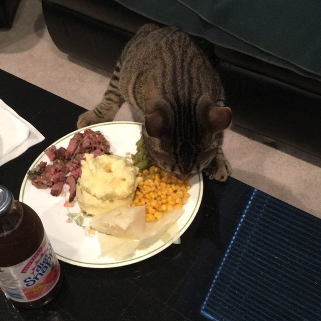 That's Great Mama But Where's Your Plate