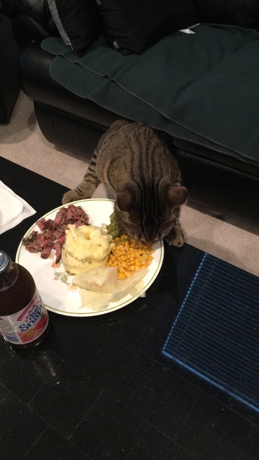 That's Great Mama But Where's Your Plate