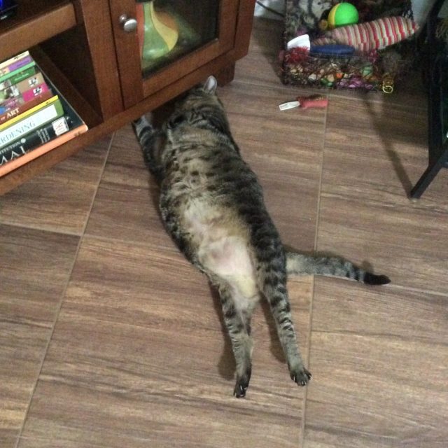 Where Is That Remote?
