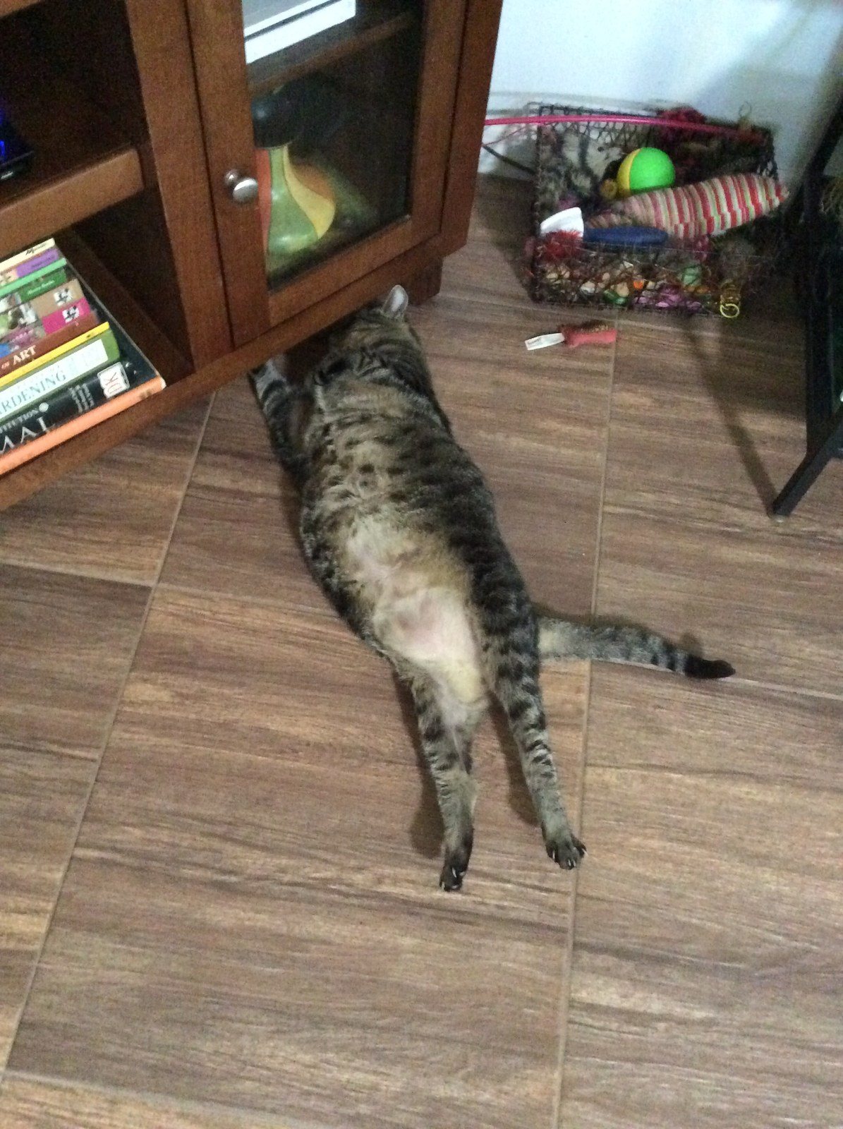 Where Is That Remote?