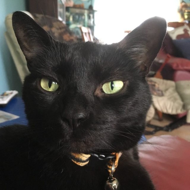 Edward