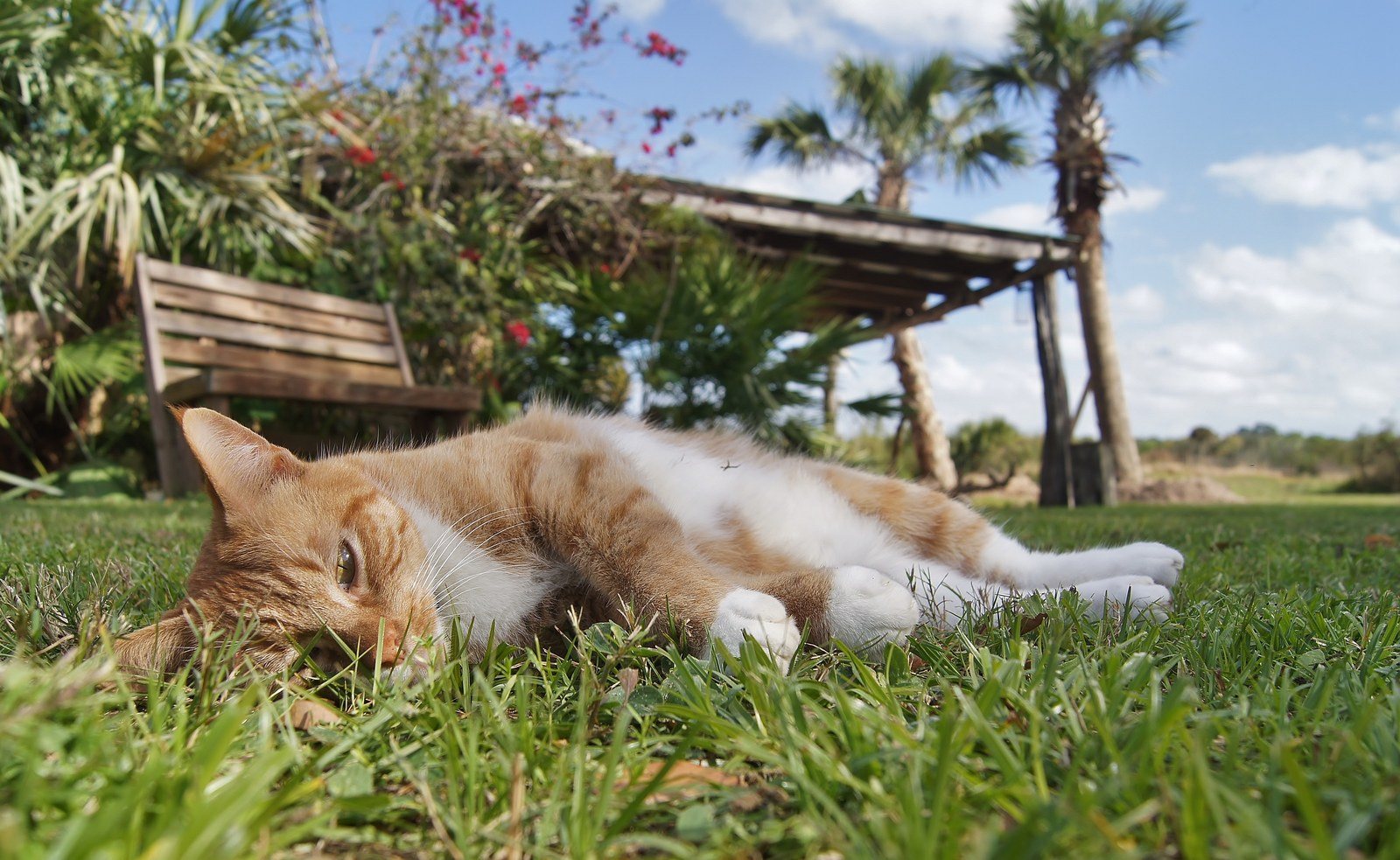 Nap Time