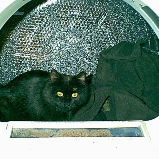 Hates Washer. Loves The Dryer