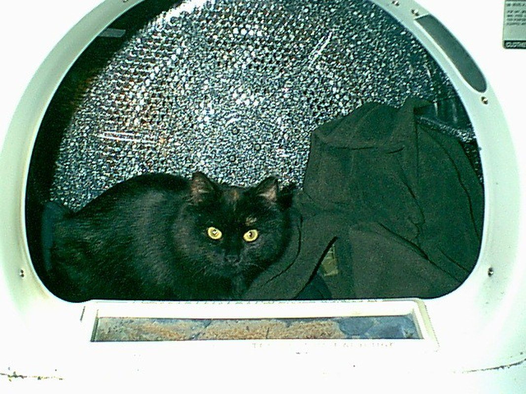 Hates Washer. Loves The Dryer