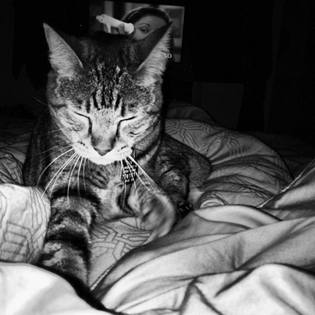 Bindi "Making Biscuits "
