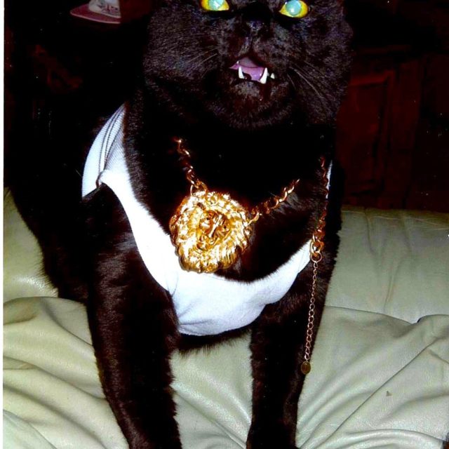 Don't Mess With Me!