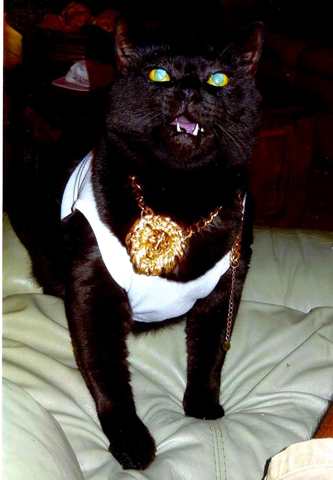 Don't Mess With Me!