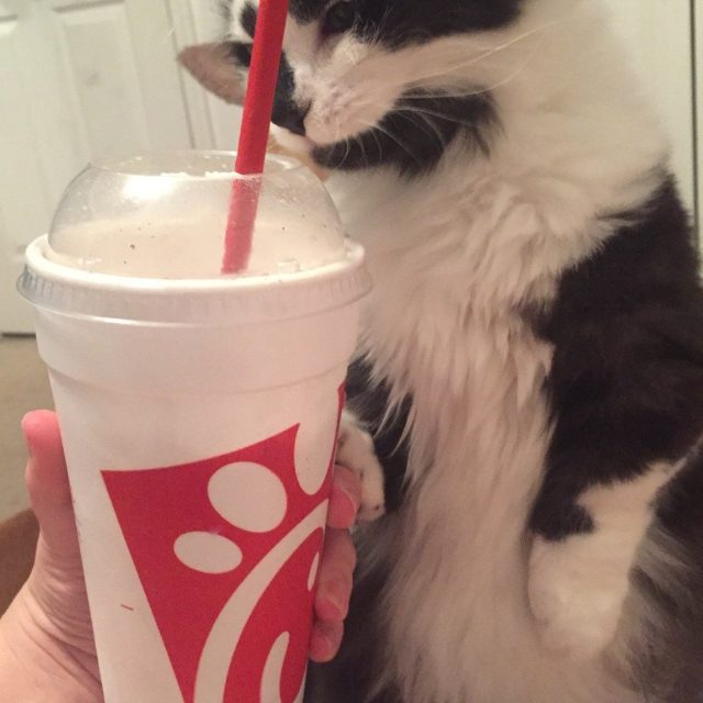 Are You Going To Share??