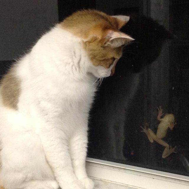 I Want Him!! Just Protecting My Mom