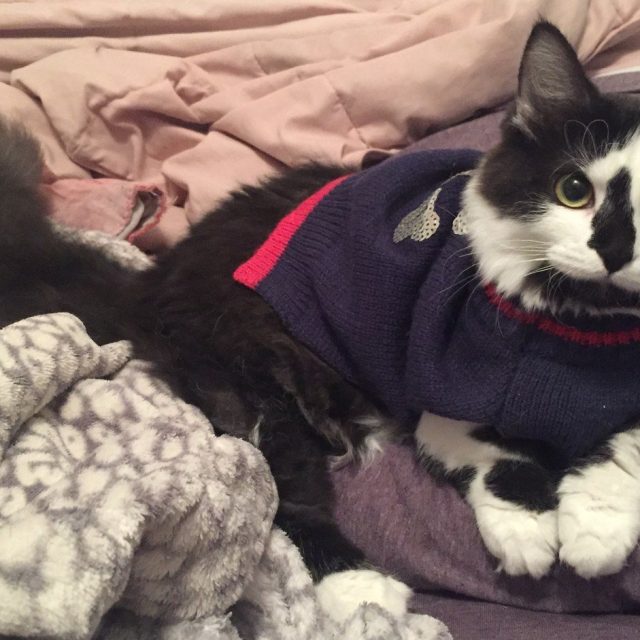 Sweater Weather!
