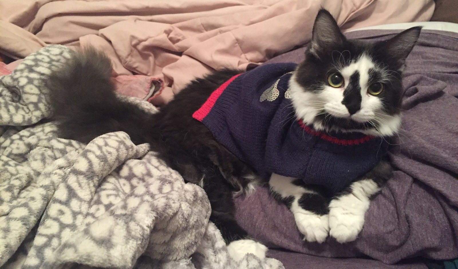 Sweater Weather!