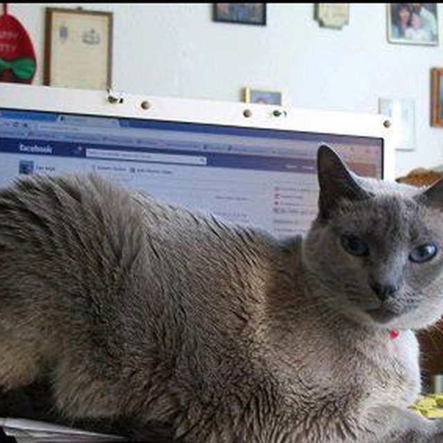 Can U Take 5....I Needz Food!!