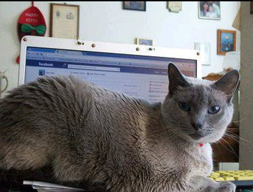 Can U Take 5....I Needz Food!!