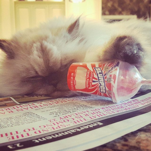 Feeling Sleepy