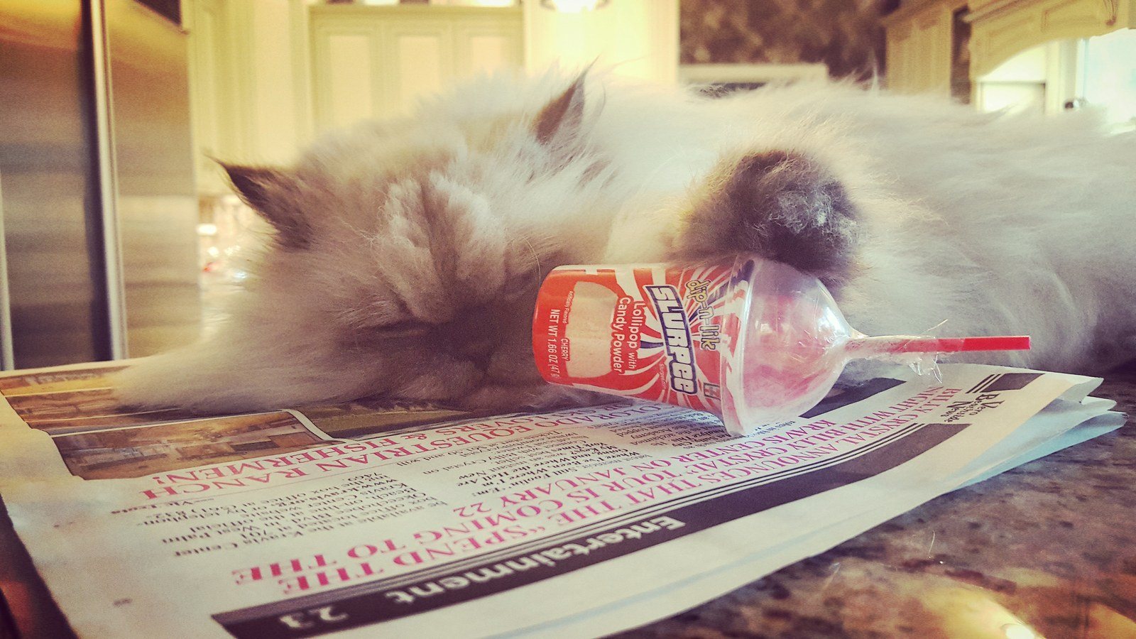 Feeling Sleepy