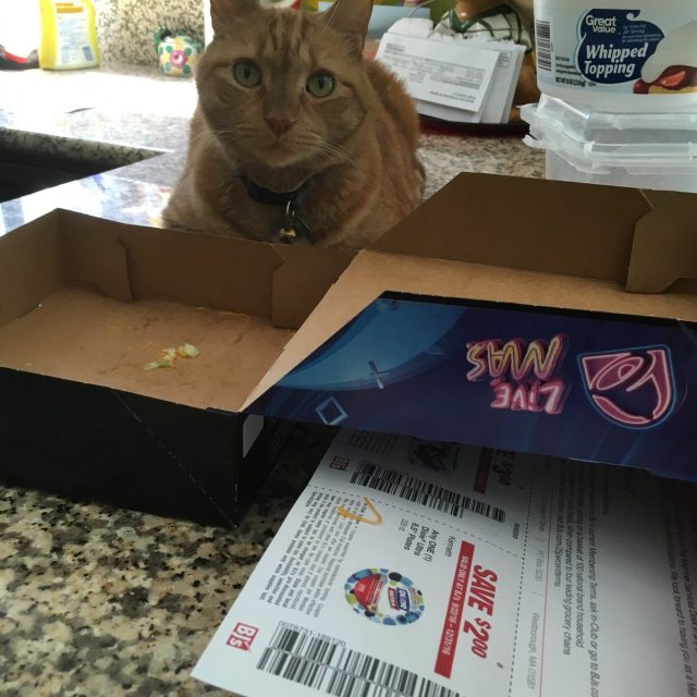 I Can't Believe You Ate The Whole Thing