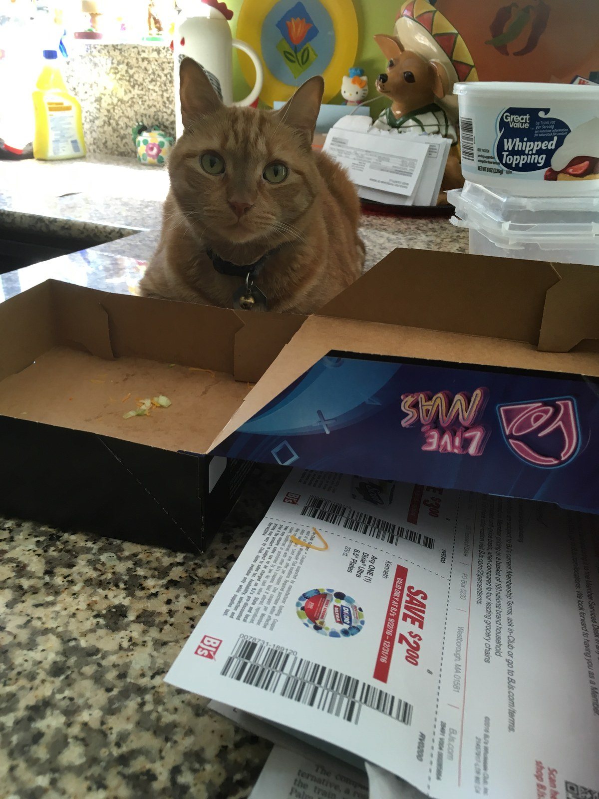 I Can't Believe You Ate The Whole Thing