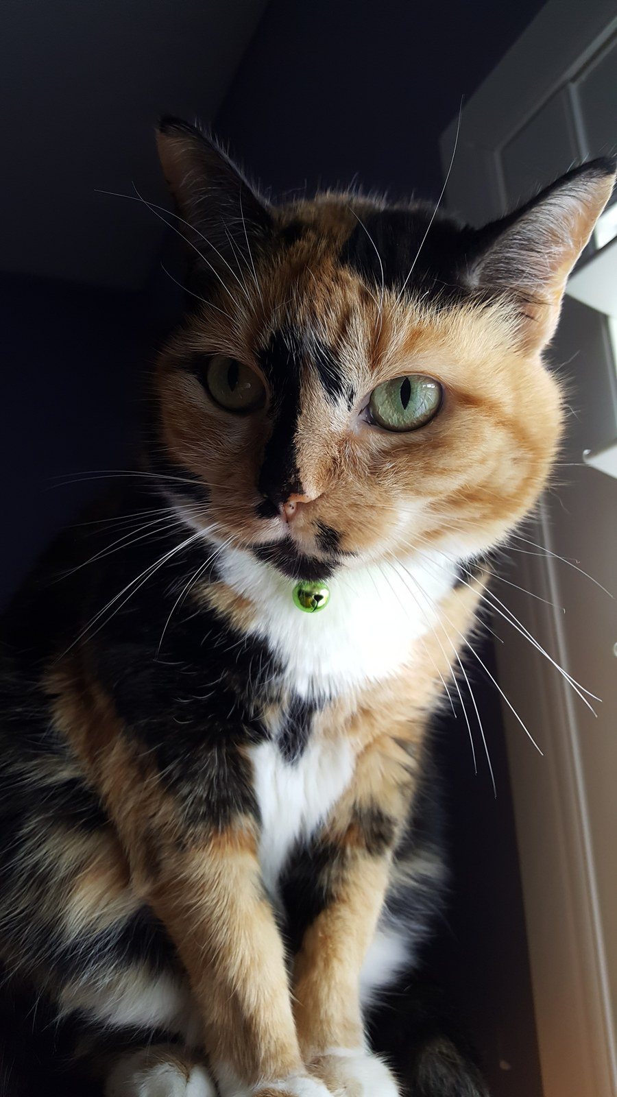 The Princess