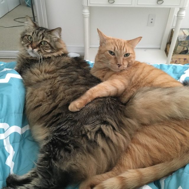 Best Buds