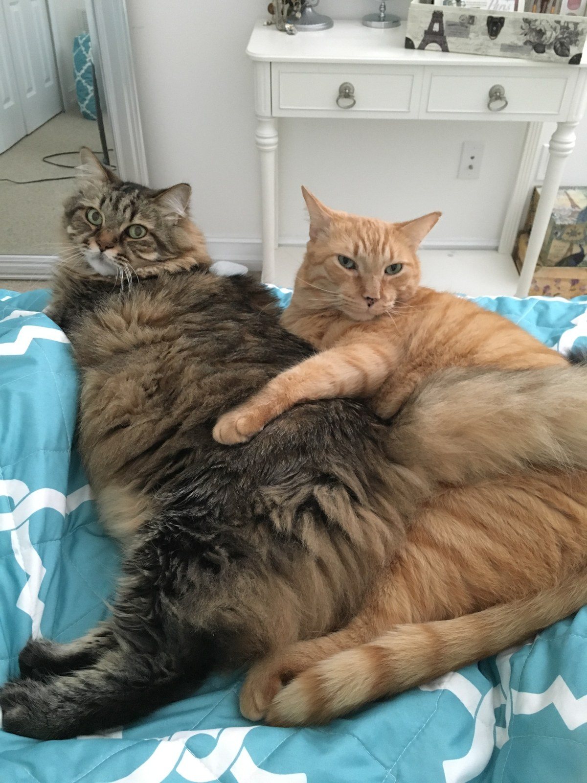 Best Buds