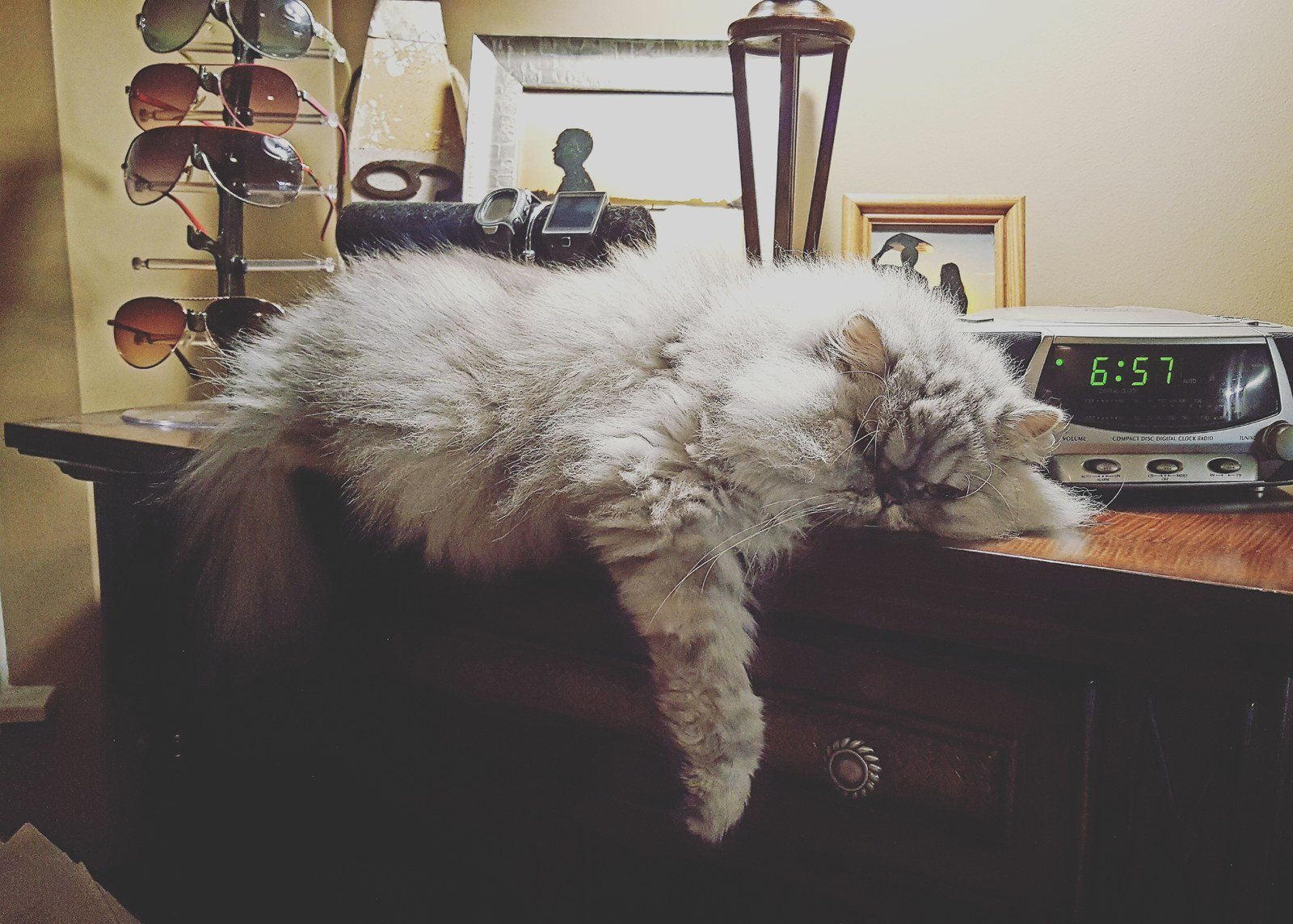 Lazy Days!
