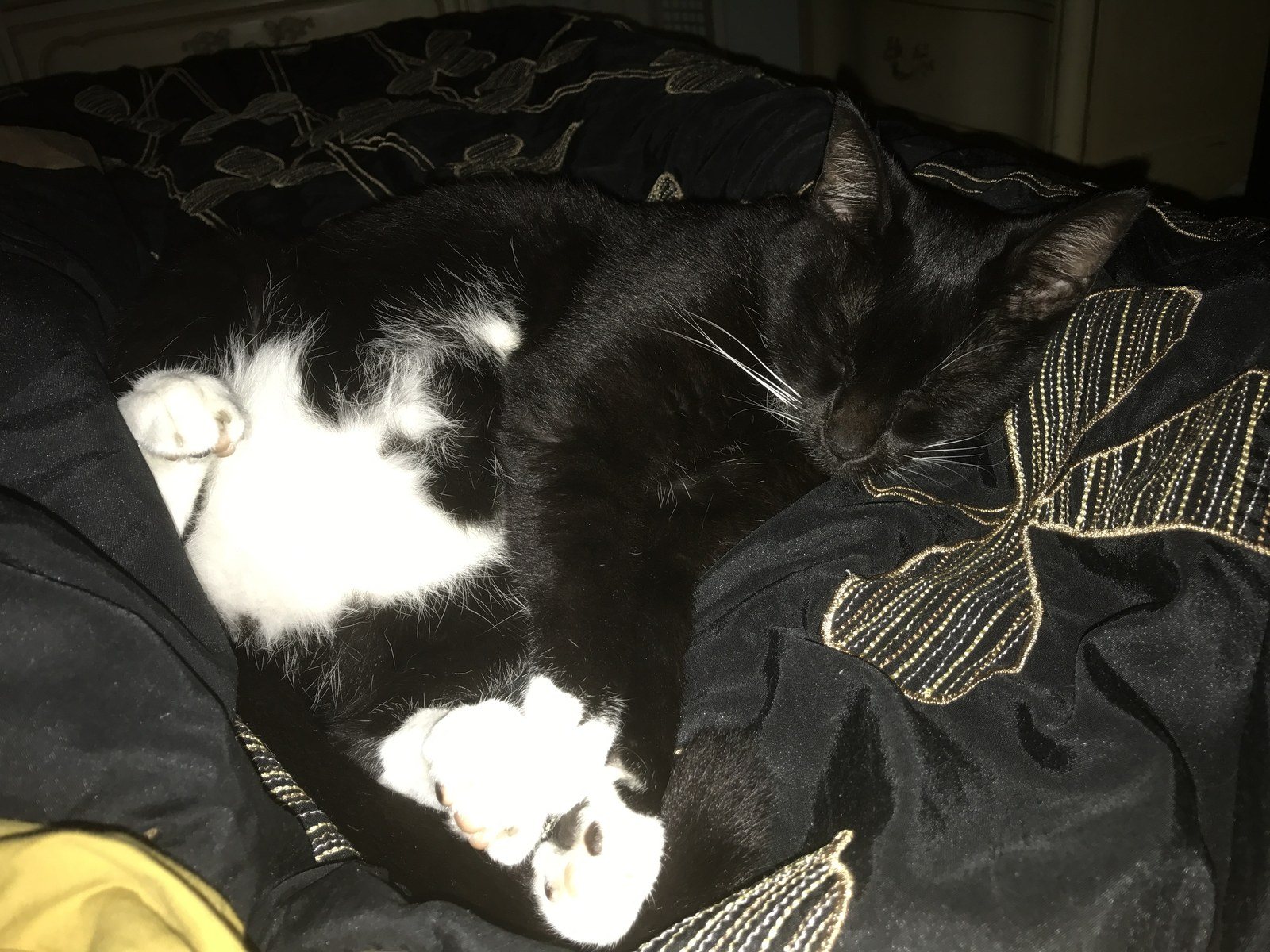 Zonked