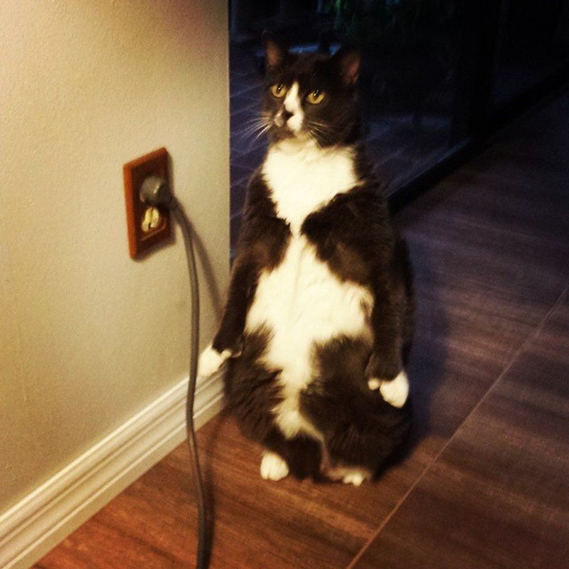 Do You Want Me To Unplug This?