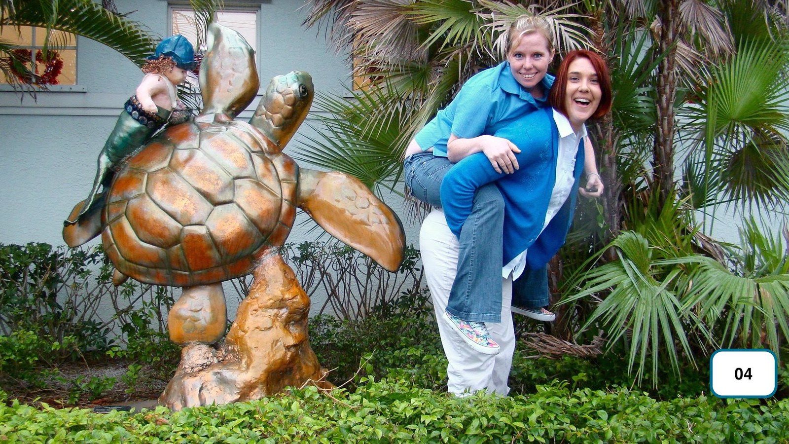 Piggy Back Turtle!