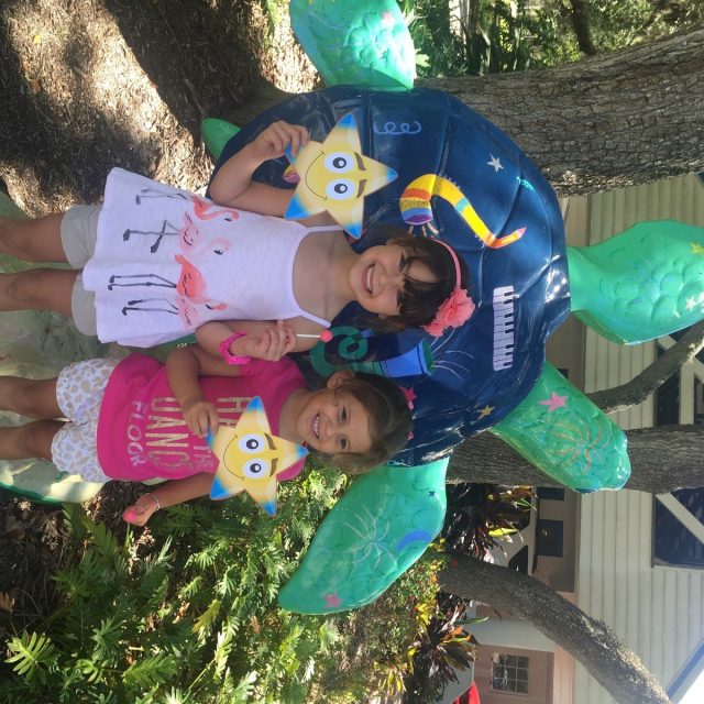 Vero's Rising Stars