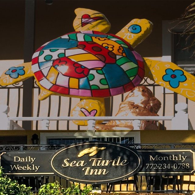 Stay At The Sea Turtle