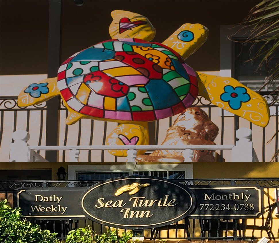 Stay At The Sea Turtle