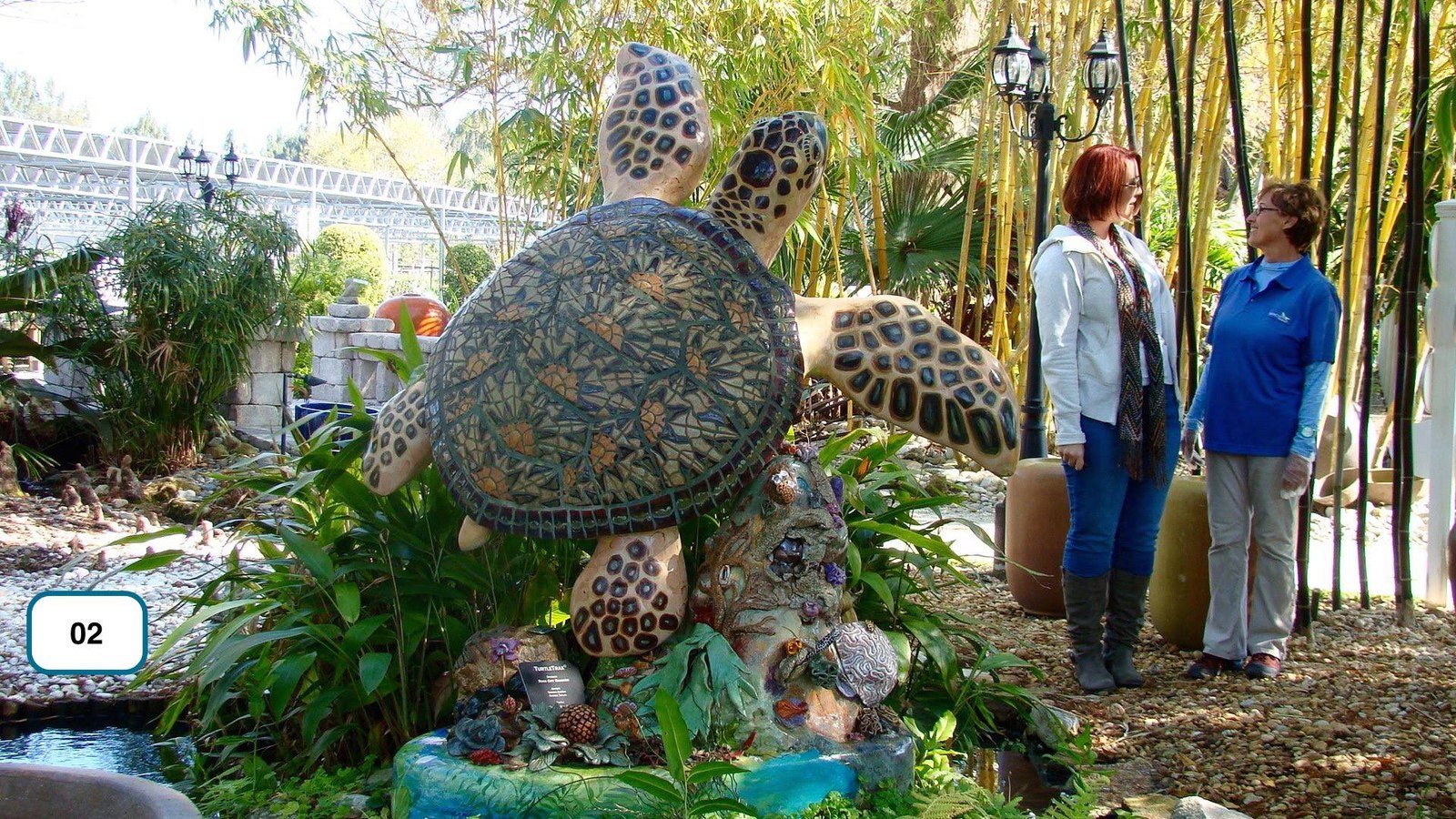 This Woman Is Named Nancy. She Works At The Gardens Where This Turtle Lives. I T