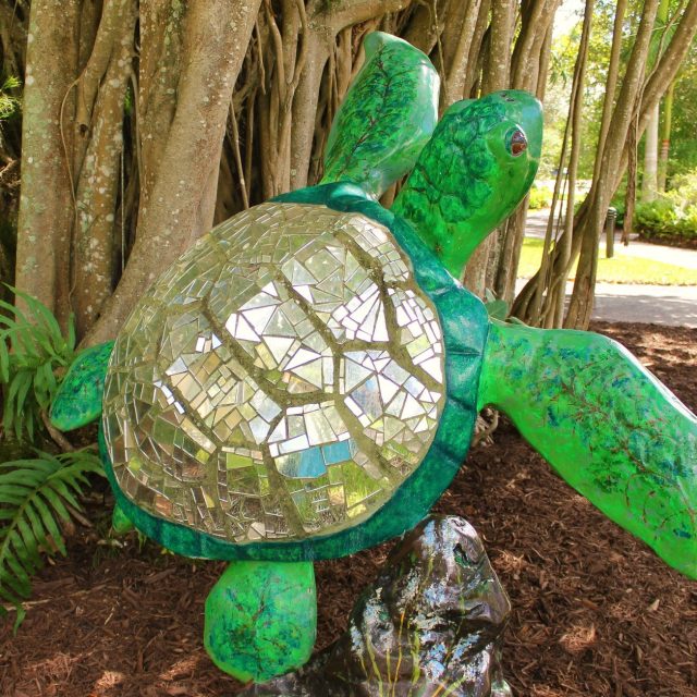 Mirrored Green Sea Turtle