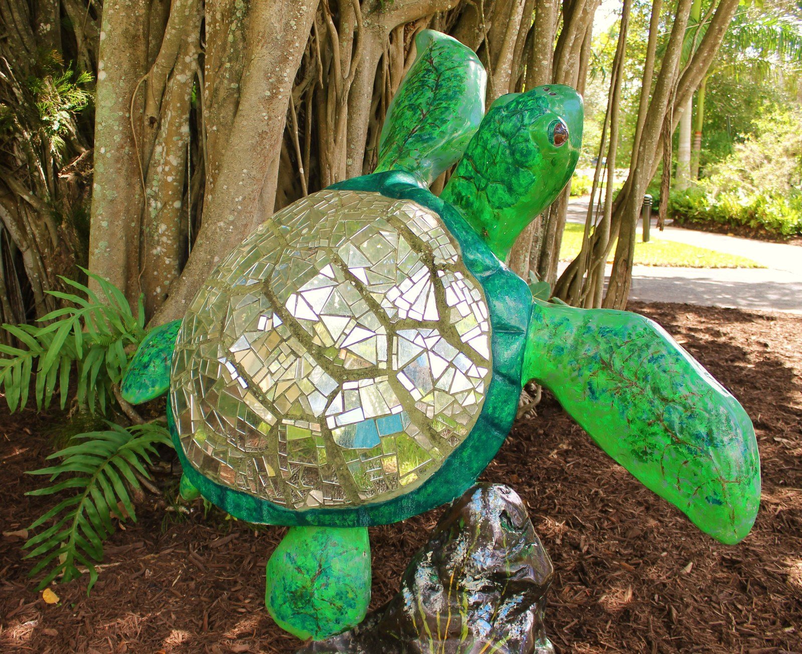 Mirrored Green Sea Turtle