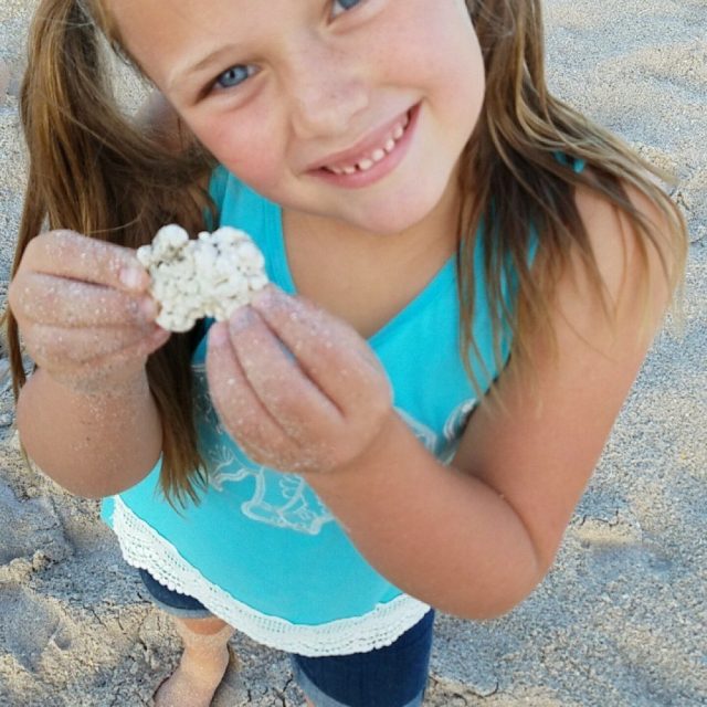Shell Hunting. Riomar Beach