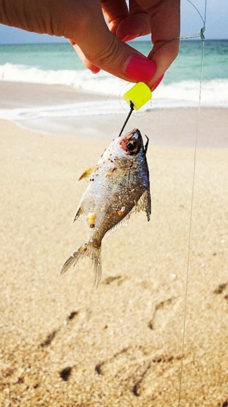 Go Fish